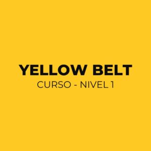 Curso Yellow Belt Lean Six Sigma