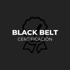 Certificación Black Belt Lean Six Sigma